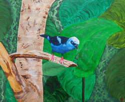 Painting: Red-legged honeycreeper